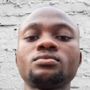 Bright Digitals-Freelancer in Ibadan, Nigeria,Nigeria