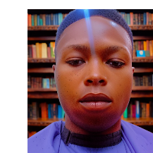 Prince Diamond-Freelancer in Ibadan,Nigeria