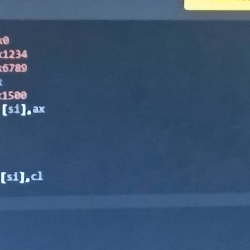 Swuwu-Freelancer in Madurai,India