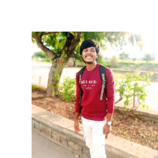 Mohan DS-Freelancer in v kota gandhaaramkulapalli chittoor,India