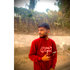 Abhay Pratap Sharma-Freelancer in Rania,India