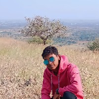 peeter freliancis-Freelancer in Pune Division,India