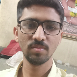 Rudrarajsinh Zala-Freelancer in Kundal,India