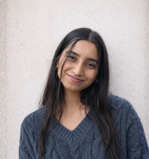 Shariya-Freelancer in Greater Noida,India