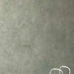 Alafia Tariq-Freelancer in Dehradun,India