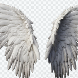 Kasthurirangan Sanmugam-Freelancer in Chennai,India