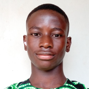 Olujide Wealth-Freelancer in Ibadan,Nigeria