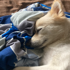 Aeric Bhanwadia-Freelancer in Pune,India