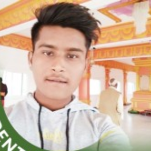 Abhishek Patel-Freelancer in Bhopal,India