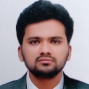 Tauseef Patel-Freelancer in ,India