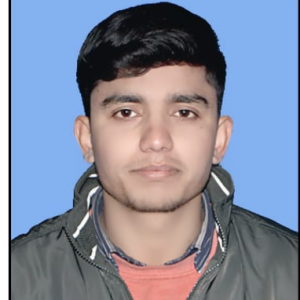 Abhay Singh-Freelancer in Tundla,India