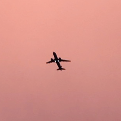 Amruta Rathod-Freelancer in Pimpri-Chinchwad,India