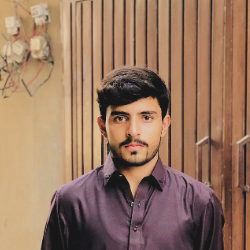 Husnain Ali-Freelancer in Lahore,Pakistan