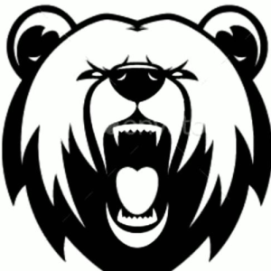 Ayush Patel-Freelancer in Bengaluru,India