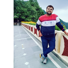 Ujjwal Gupta-Freelancer in Agra,India