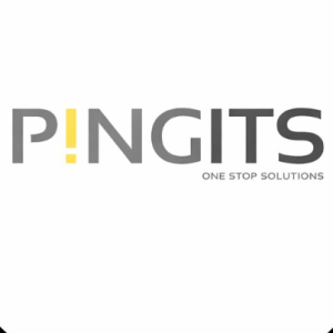 P!ng Its-Freelancer in Bengaluru,India