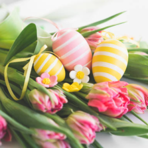 Elizabeth5-Freelancer in California,USA