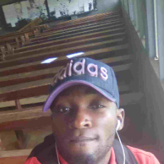 David Ilesanmi-Freelancer in Lagos,Nigeria