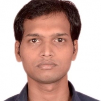 Narendra Kumar-Freelancer in Bangalore,India