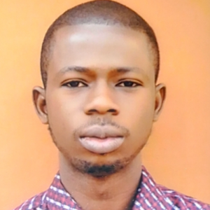 Oyetunji Benedict-Freelancer in Owode Ede,Nigeria