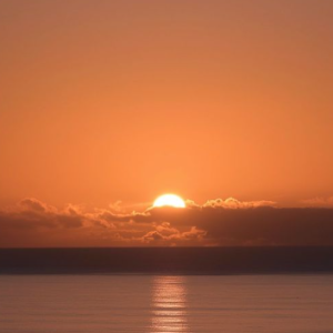 Mokshitha-Freelancer in Puducherry,India