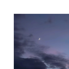 Ziram Ali-Freelancer in Karachi,Pakistan