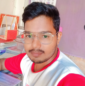 Ram Kumar Bhati-Freelancer in Sri ganganagar,India