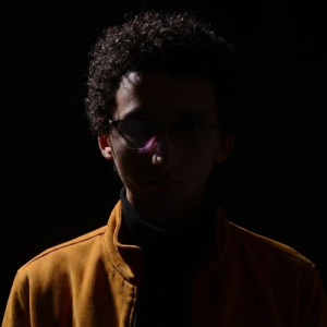 Ahmed Saladin-Freelancer in Alexandria,Egypt