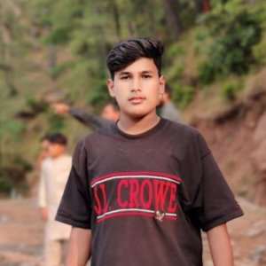 Ramzan Rasheed-Freelancer in Bahawalpur,Pakistan