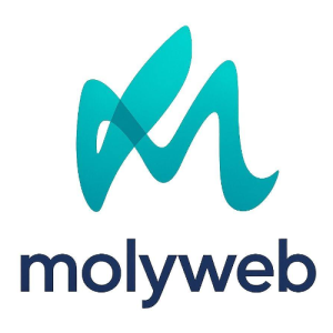 Moly Web-Freelancer in Lucknow,India