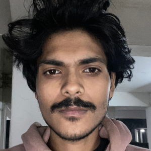 Animesh Kumar Bej-Freelancer in Kolkata,India