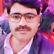 Ramesh Singh-Freelancer in Sitapur,India