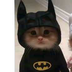 Noknok loko-Freelancer in Indore,India