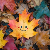 Ritu Singh-Freelancer in Meerut,India