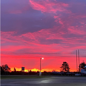 Tori Lake-Freelancer in Lansing,USA