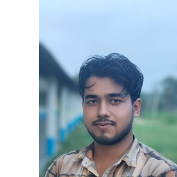 Biswadip Hansda-Freelancer in Orgram,India
