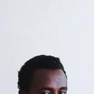 Kebede Guta-Freelancer in Adama,Ethiopia