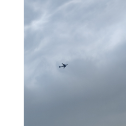 Aishwary Shukla-Freelancer in Mumbai,India