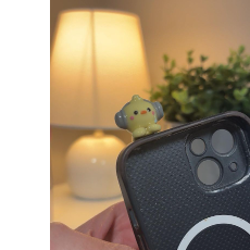 Sage-Freelancer in Ulan Bator,Mongolia