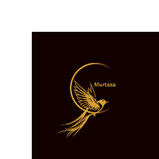 Murtaza Moulvi-Freelancer in Karachi,Pakistan
