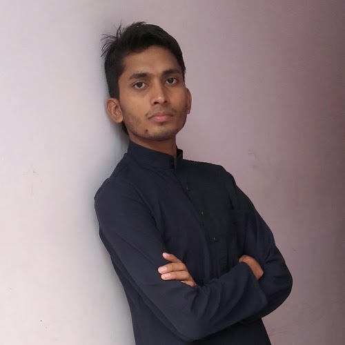 husainsdr786-Freelancer in Noida,India