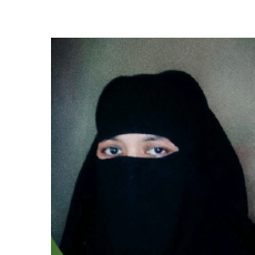 Fariha Khatun-Freelancer in সিলেট,Bangladesh