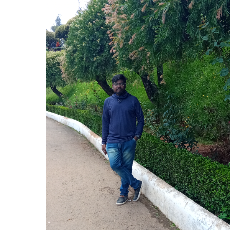 Muthu Pandi-Freelancer in Periyanaickenpalayam,India