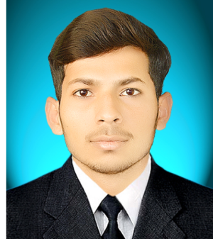 Muhammad Sulaiman-Freelancer in Sukkur,Pakistan