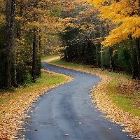 Payal Barupal-Freelancer in Pilibangan,India