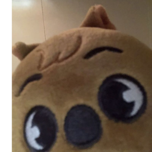 Anna-Freelancer in Hyderabad,India