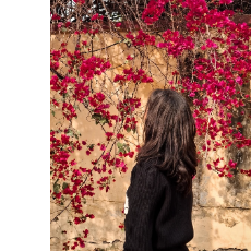 Diksha Rwt-Freelancer in Haridwar,India