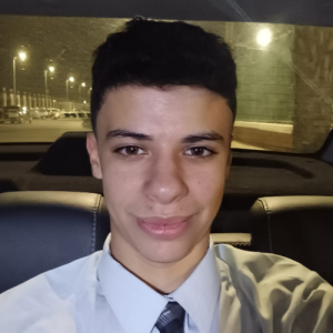 Mustafa Sameh-Freelancer in Ismailia,Egypt