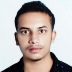 Ravi Ranjan-Freelancer in Patna,India
