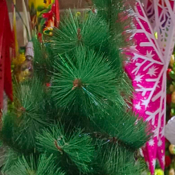 Donald Masihi-Freelancer in vadodra,India